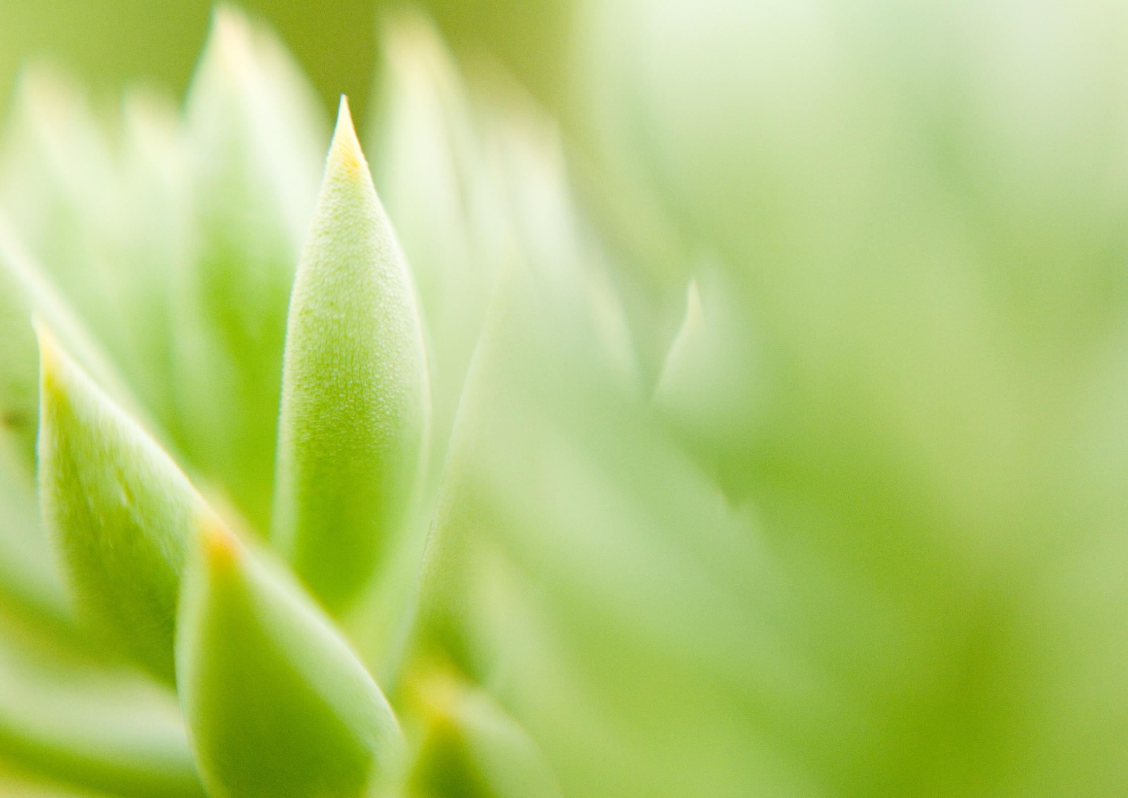 california people reimbursement bodily remedy fee schedule